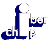 Iberchip